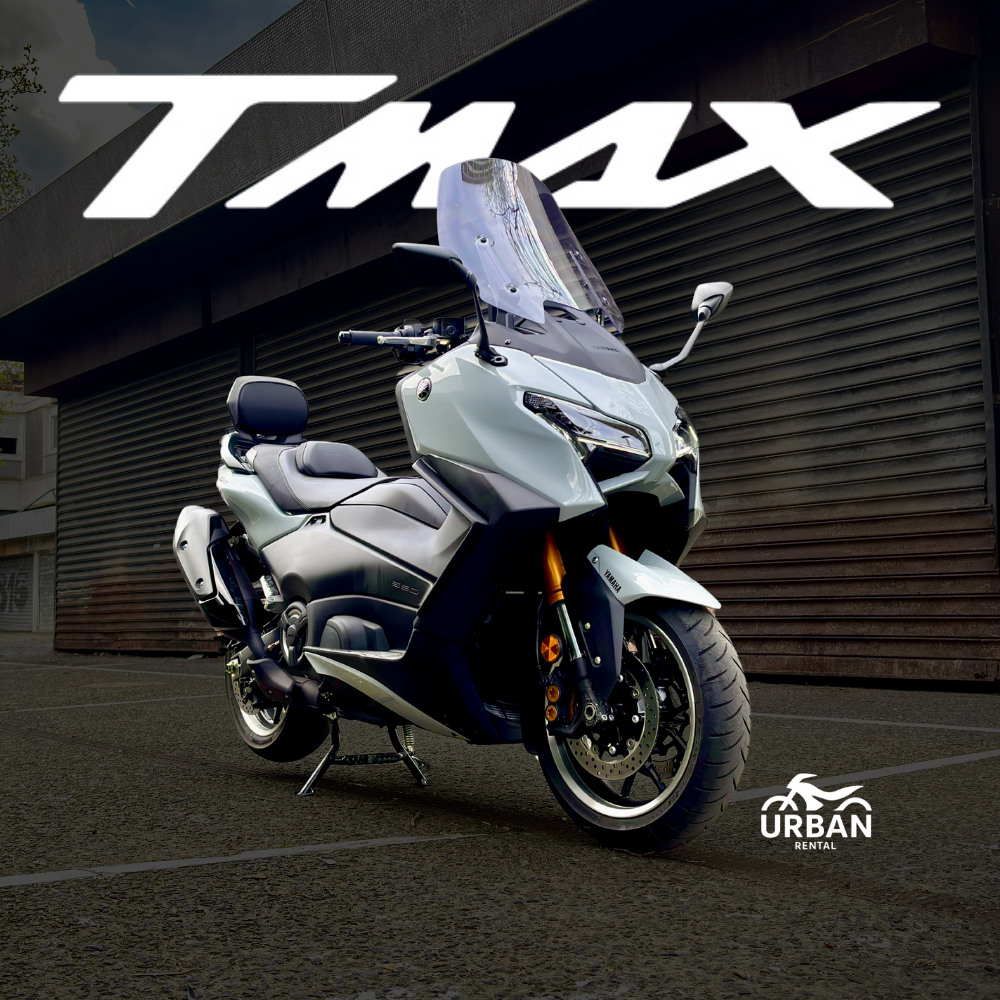 TmaxSIteWEB2